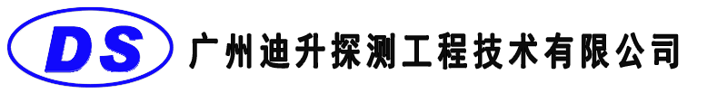 广州迪升探测工程技术有限公司